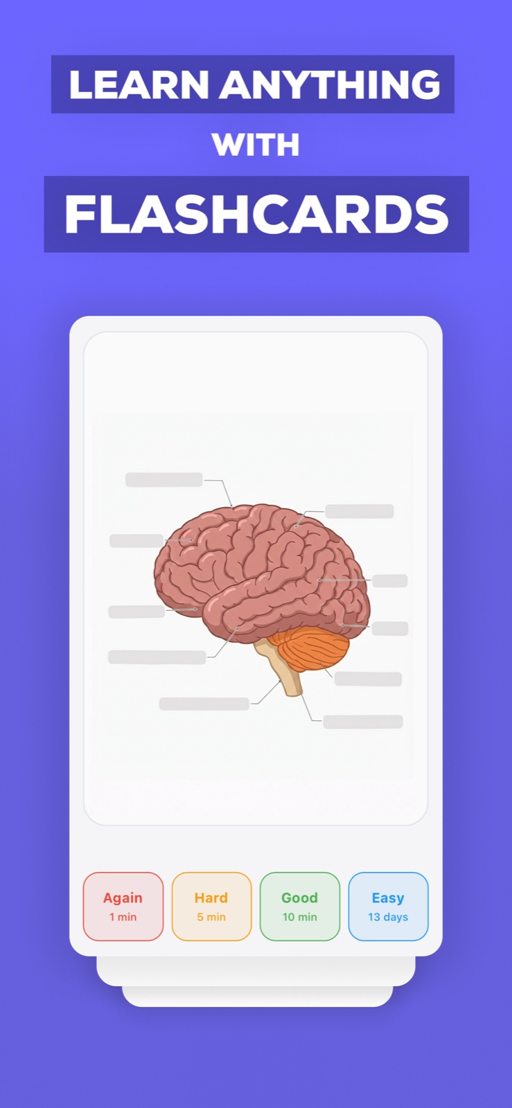 Flashcards Maker iOS app showing AI-powered flashcard generation